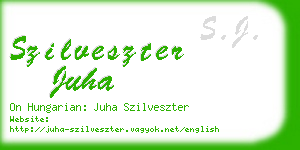 szilveszter juha business card